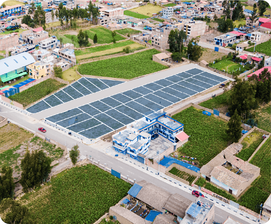 proyecto huracan de leones grupo inmobiliario